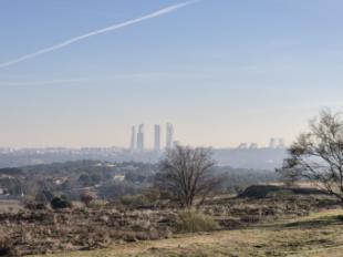 El PSOE solicita la paralización de infraestructuras en la Avenida de Europa ante la falta de diálogo con los vecinos