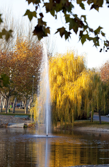 Alerta en Pozuelo. Se cierran los parques por fuertes vientos