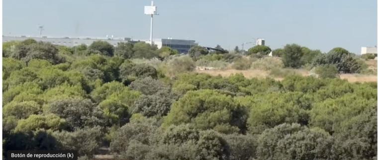 Un auto judicial suspende las obras de urbanización en el bosque Montegancedo de Pozuelo de Alarcón