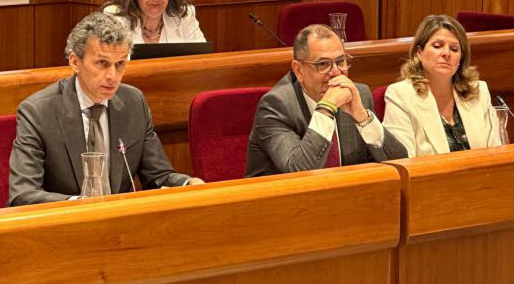 Juan Ignacio Fernández, Ángel Hernández Pando y Rocío Domínguez Perals, concejales de Vox Pozuelo, suspendidos e inhabilitados