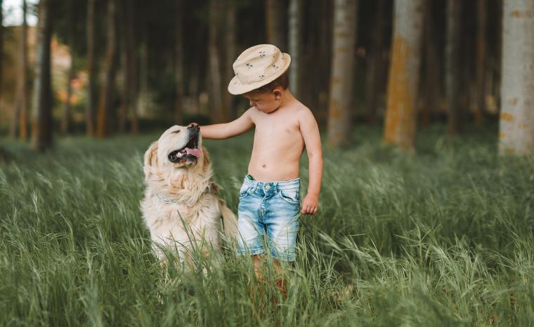 Para un verano sin sustos, protege a tu mascota de las altas temperaturas