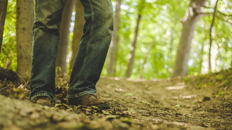 Este verano hay más de 100 actividades medioambientales gratuitas para todas las edades