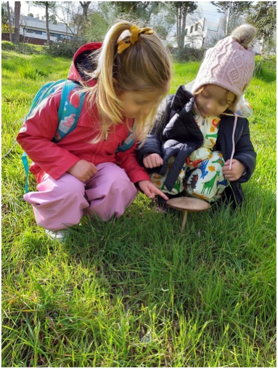 Educación infantil en un entorno rodeado de naturaleza