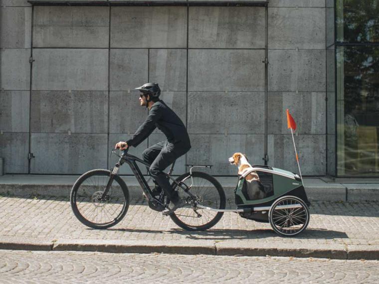 Thule Bexey, el innovador remolque de bicicleta para perros